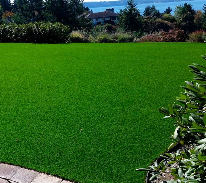 Artificial Grass