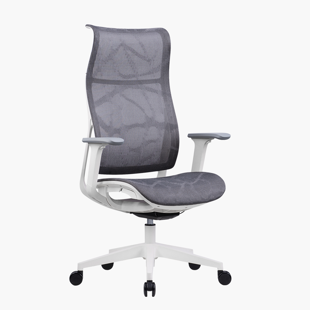 Poli 人體工學網背椅