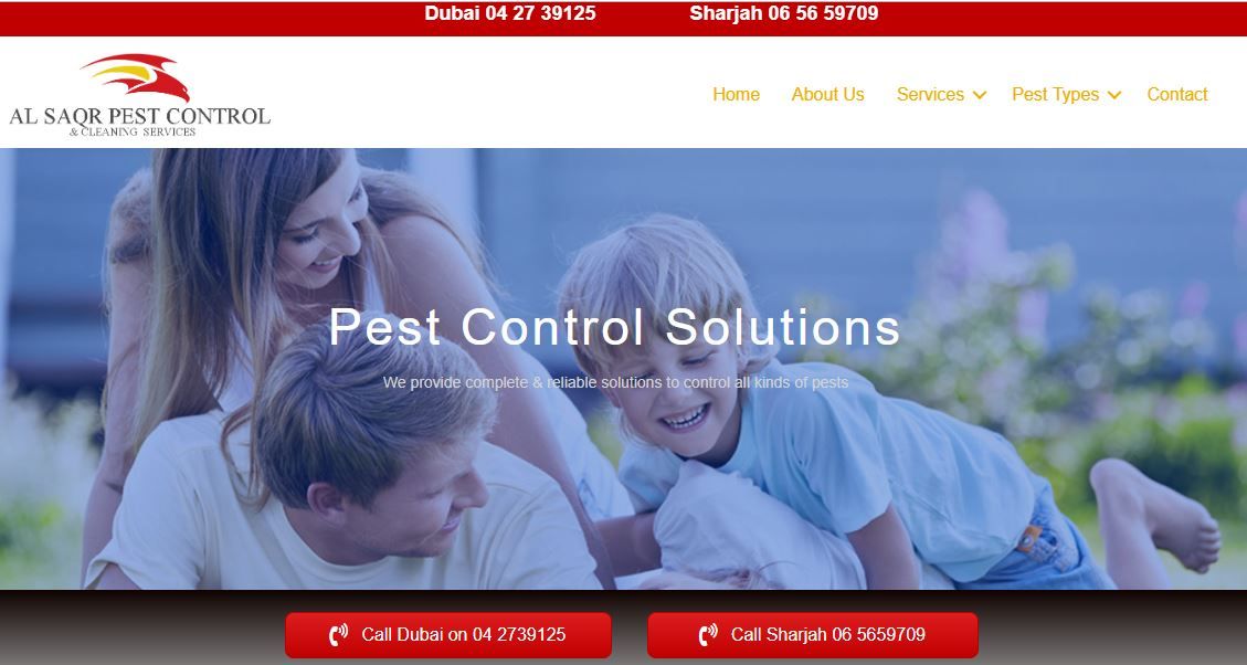 termite control dubai