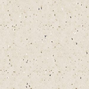 PAVIT EXTERIOR TILES