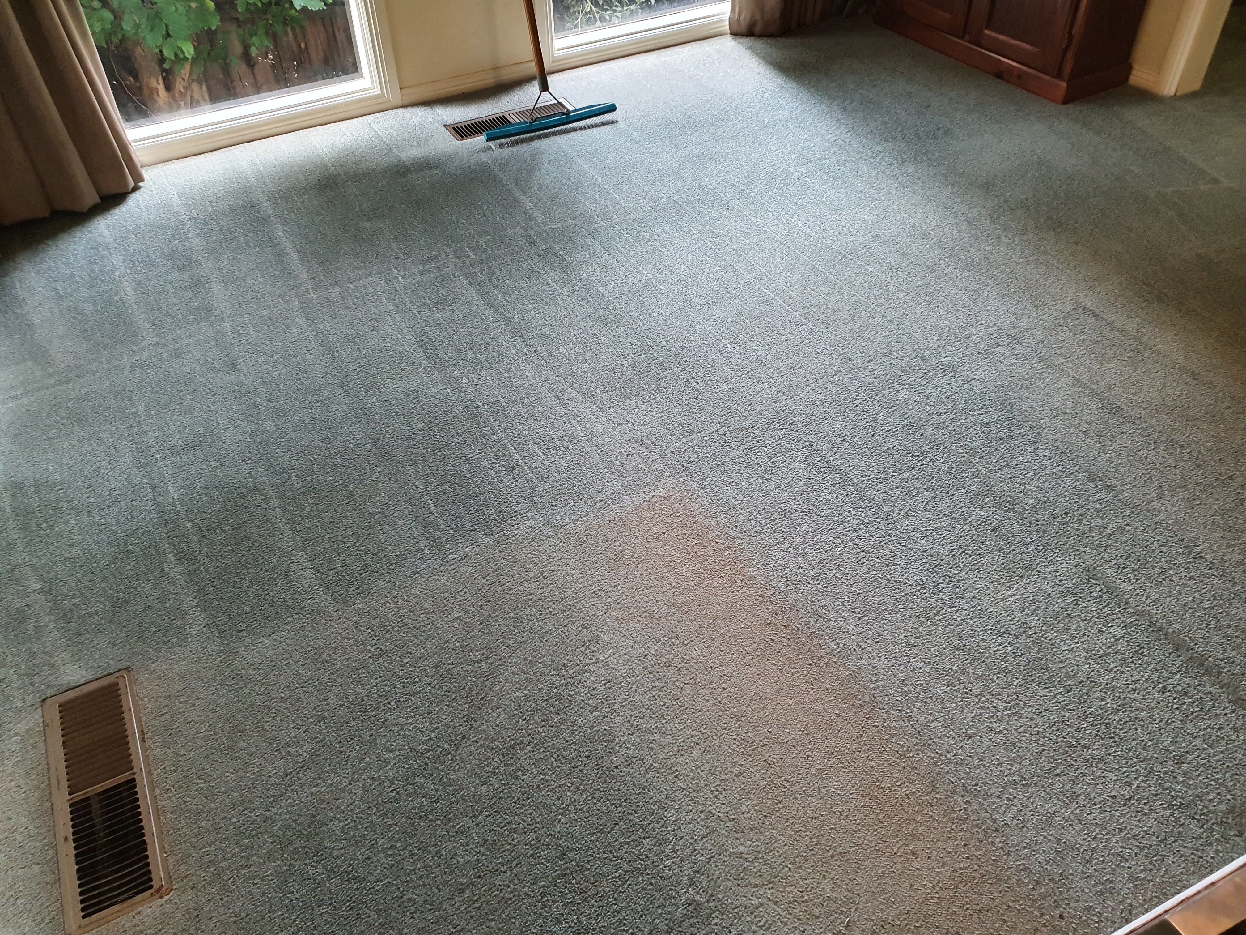Carpet Cleaning Services in Lilydale
