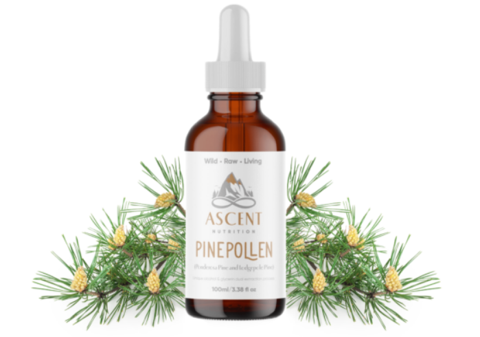 Raw Pine Pollen Tincture 