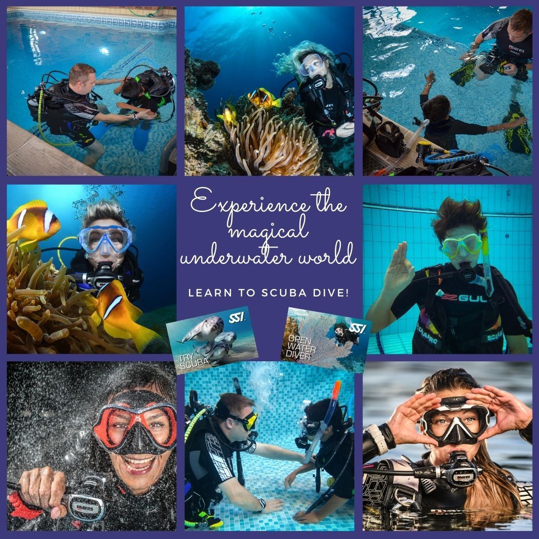 Experience the magical underwater world - learn to scuba dive in Leicester! 
