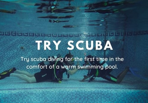 Try Scuba Diving in Leicester, UK