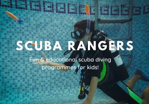 Scuba Rangers - Scuba Fun in Leicester for Children!