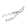 american pattren extracting forceps  high quailty stainness steel