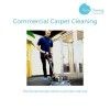 Carpet Cleaning Edinburgh, Glasgow and Central Scotland