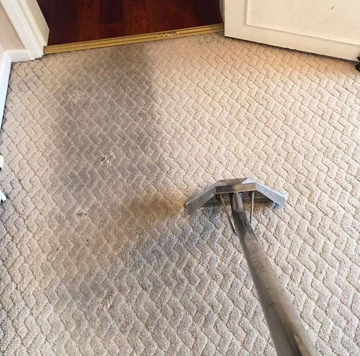 Carpet Cleaning Services in Bury
