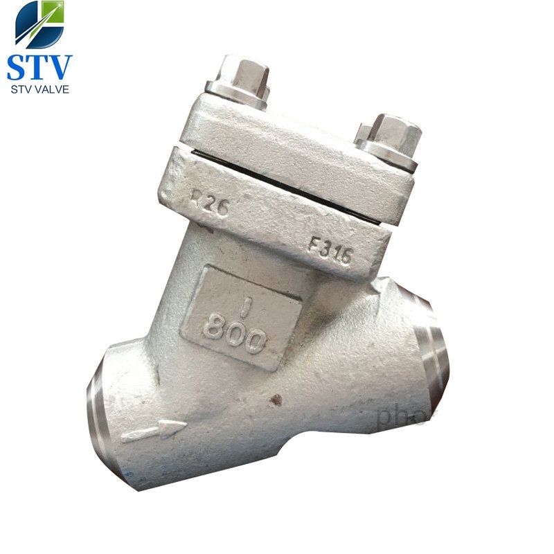 Forged Stainless Steel Y Strainer 