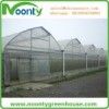 Noonty Gothic Arch Greenhouse