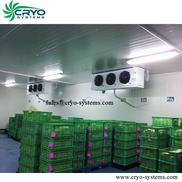 Industrial Cold storage room/Freezer room for food