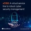 Virtual CISO Services in United Kingdom