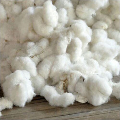 Raw Cotton Products 