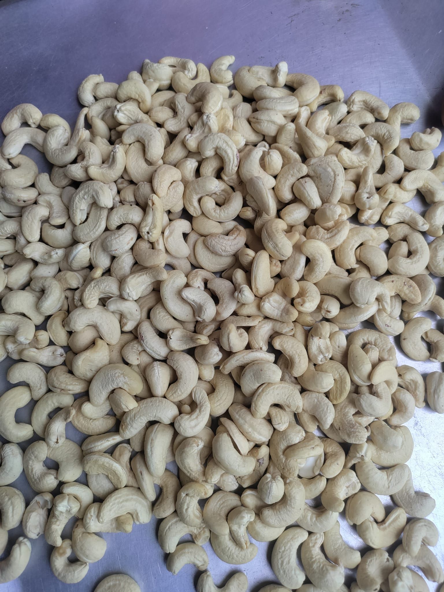 w180 w210 w320 SPLIT CASHEW NUTS WHOLESALE IN INDIA 