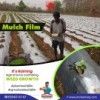 Plastic agriculture mulching films