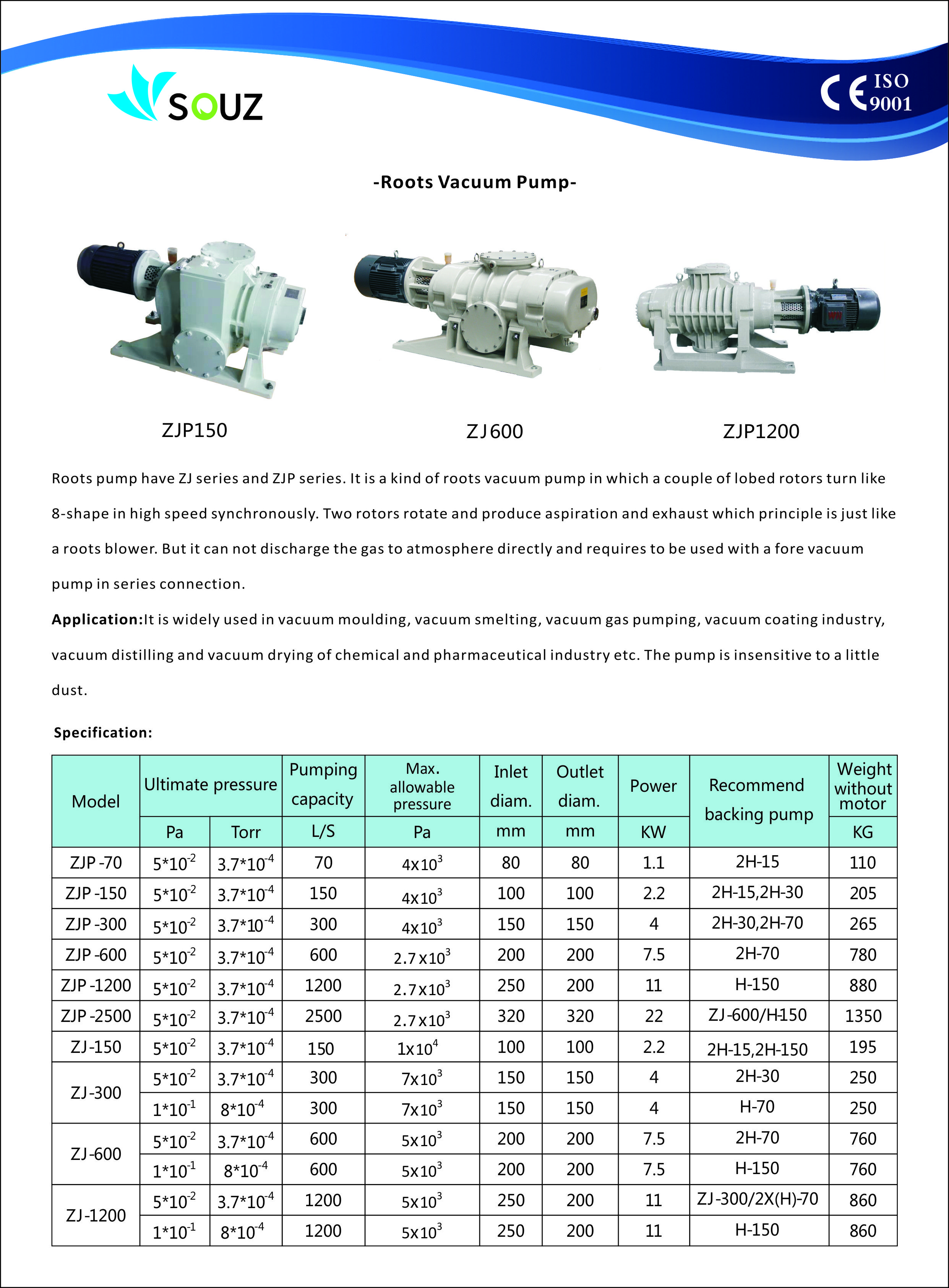 Roots vacuum pump