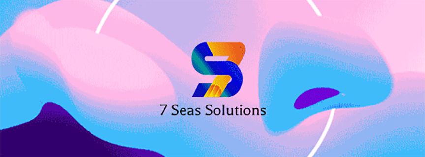 Best Website Designing Company in India - 7 Seas Solutions 
