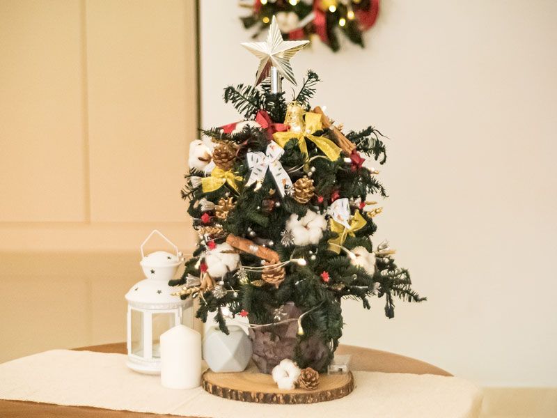 Preserved Noble Fir Christmas Tree 