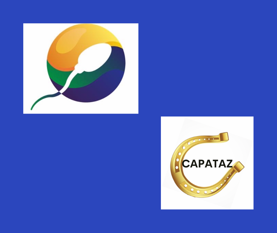 Cadastro e serviços OnLine