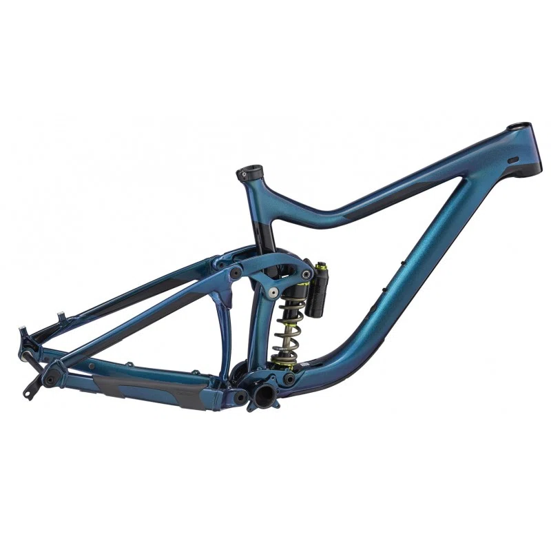 2019 Giant Reign Advanced MTB Frameset (Fast Racycles)