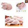 Halal Frozen Chicken (Whole and Parts) Buy Wholesale Chilled Chicken