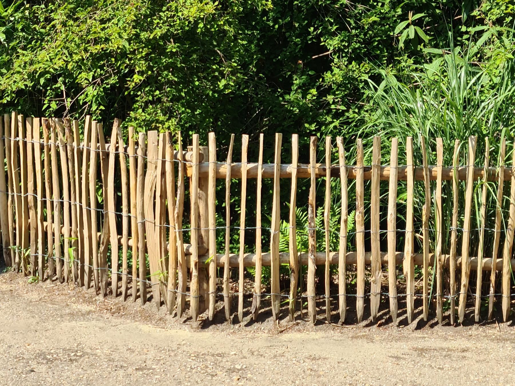Acacia wood fence 
