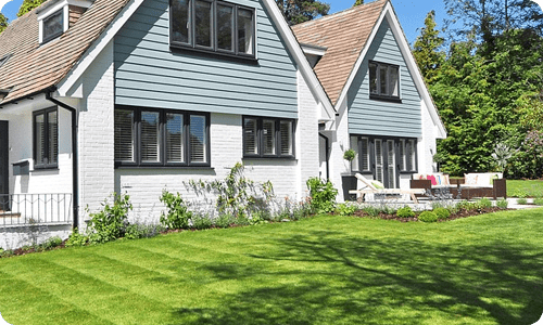 Flea and Tick Control Services 