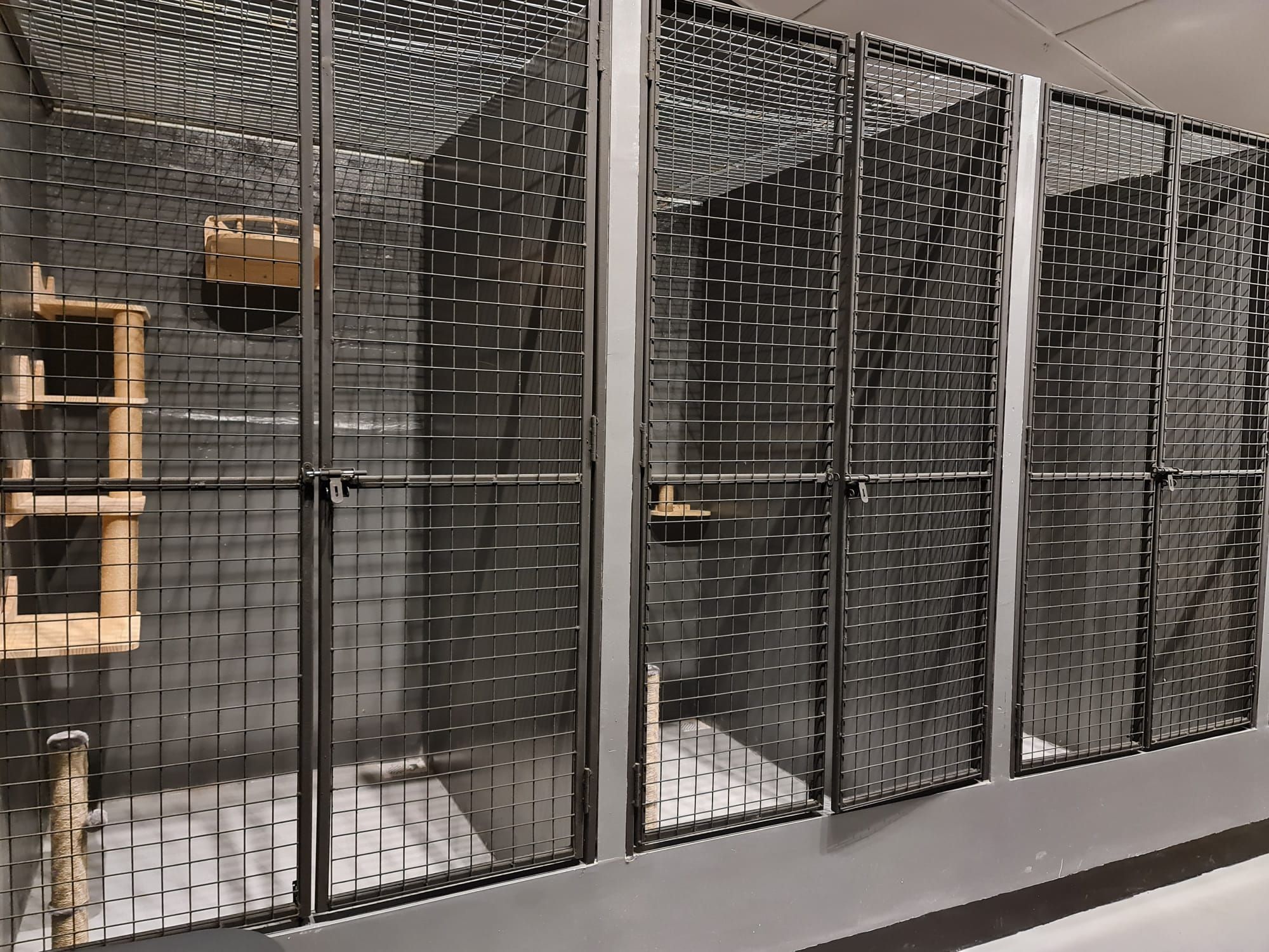 Villa - Ryokan Genetique Cat Boarding Hotel