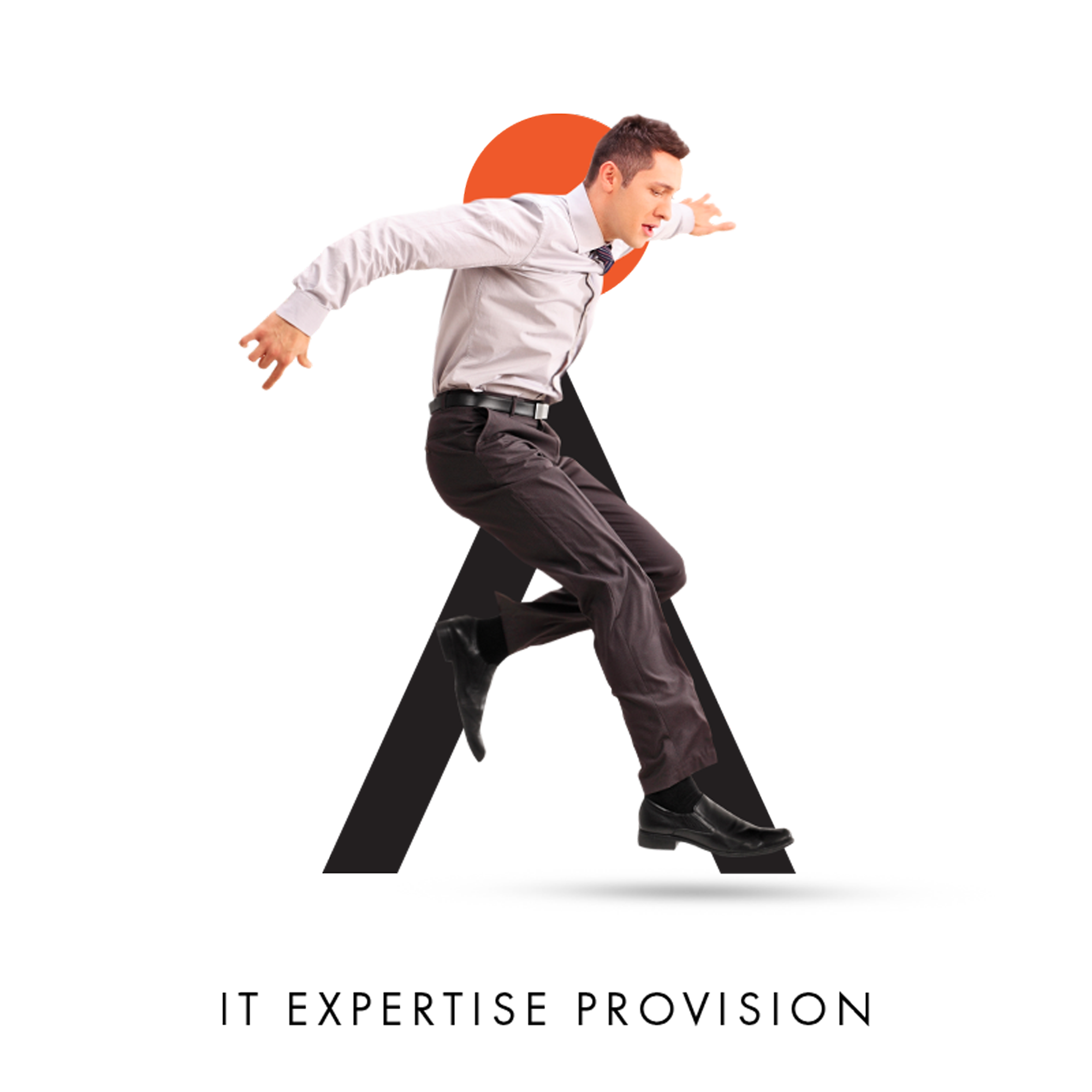 IT Expertise Provision