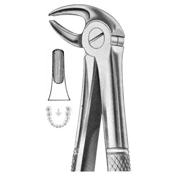 Tooth Extracting Forceps