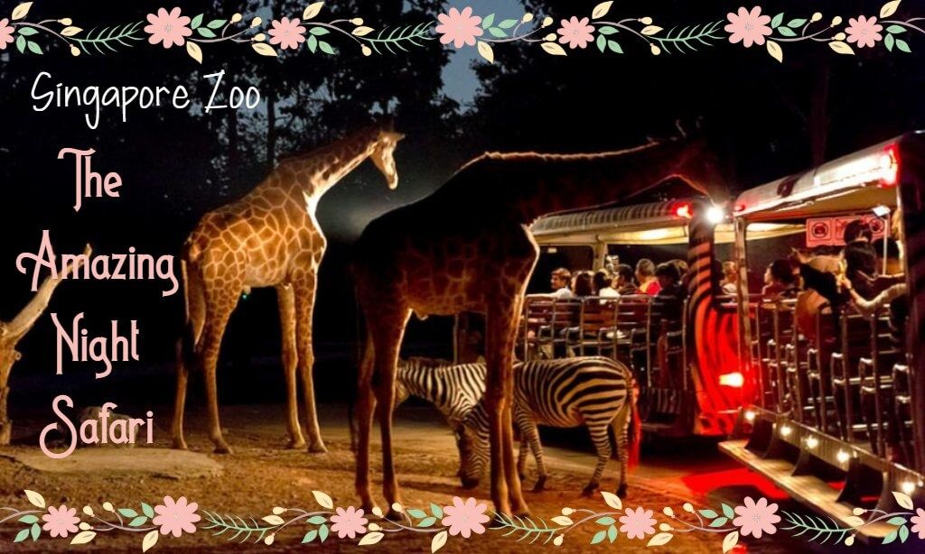 Singapore Zoo Ticket Discount