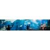 National aquarium Abu Dhabi tickets offers