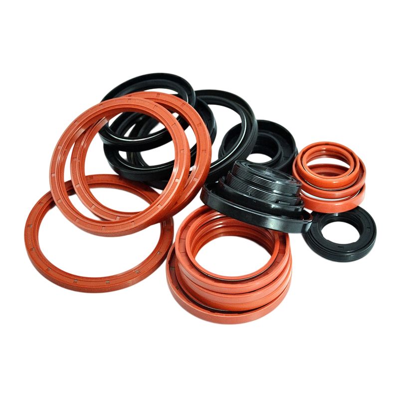 China Factory Supplied Top Quality TC skeleton oil seals