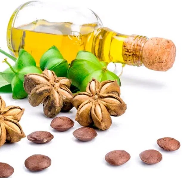 Sacha Inchi Oil Plukenetia Volubilis 