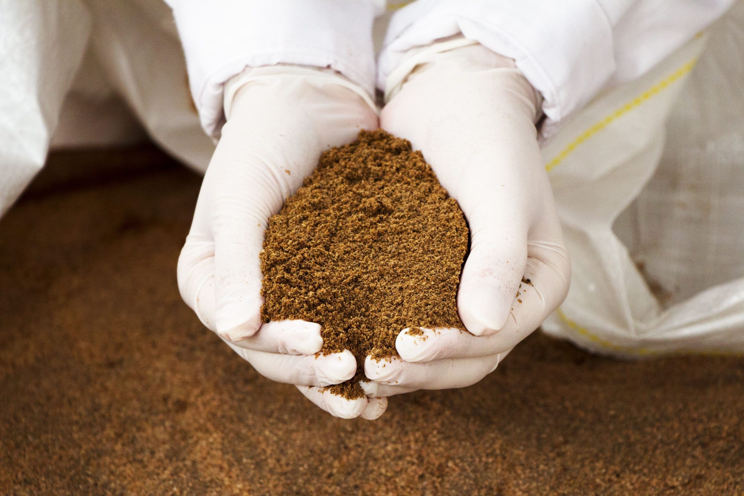 Where To Buy Animal Feeds Wholesale,
