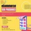 Ecommerce SEO Packages