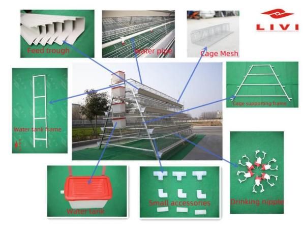 A type layer cage for sale from LIVI Machinery 