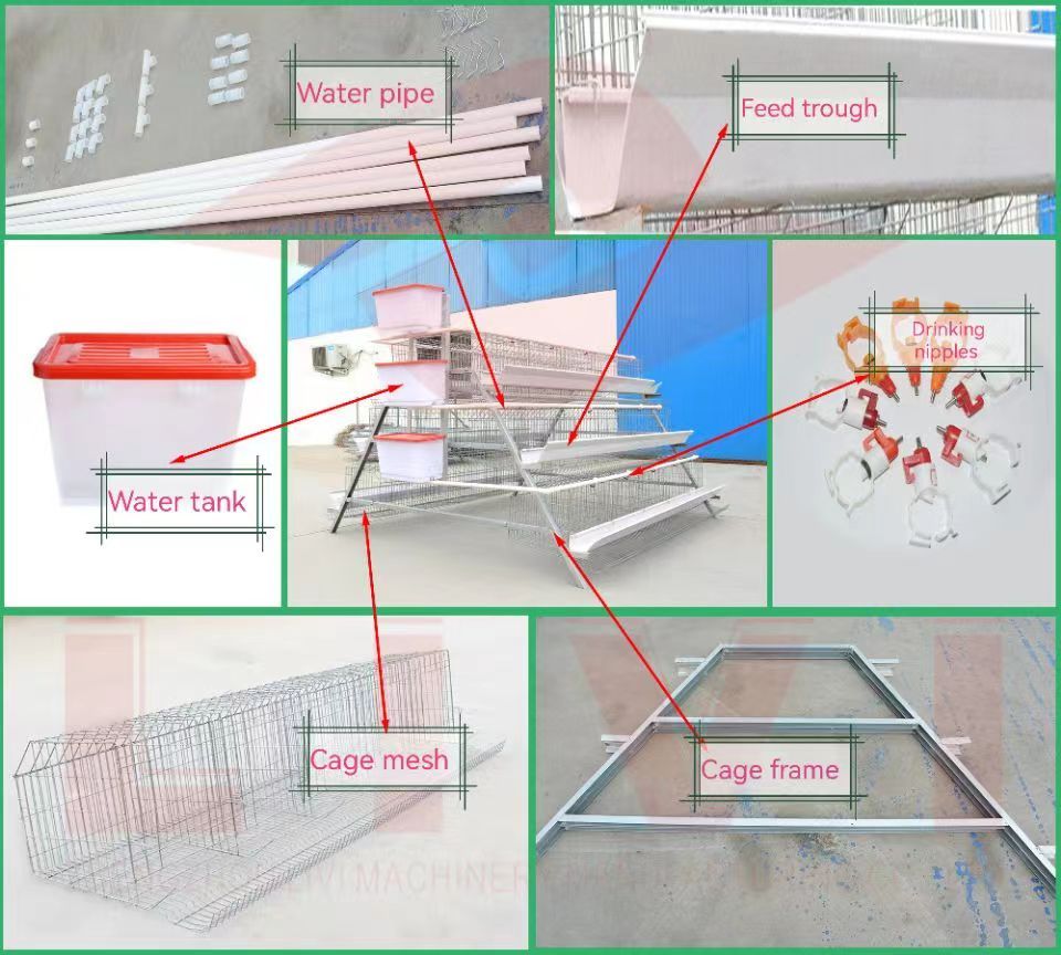 Layer Cages for Sale – Poultry Cages from Livi Industry 