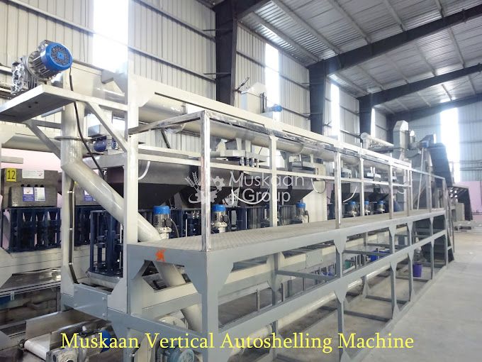 Cashew Auto Shelling Machine
