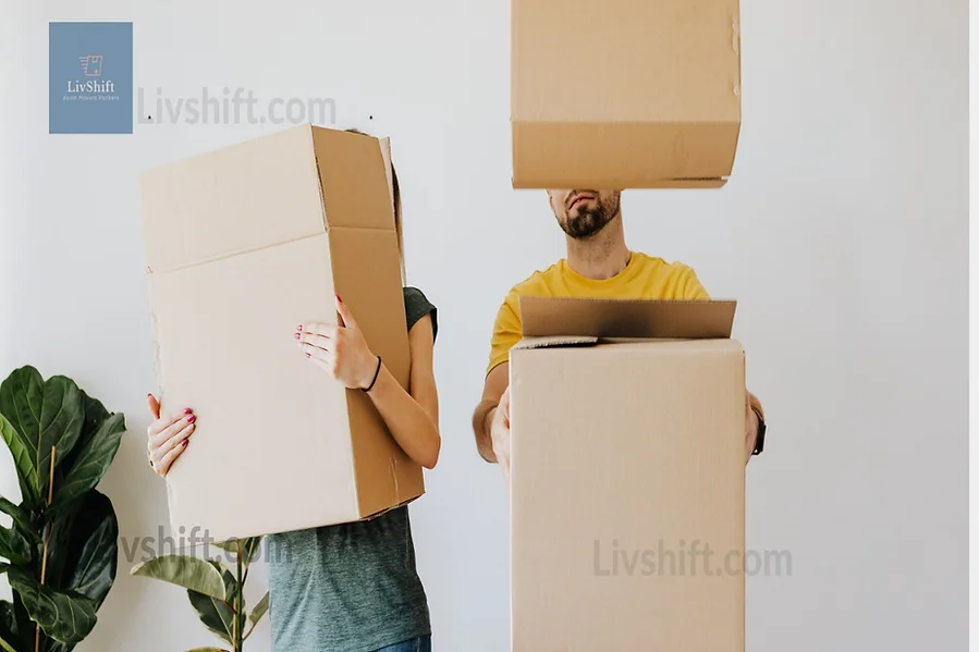 Unveiling the Benefits of Hiring IBA Approved Packers and Movers in Delhi