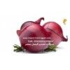 Nefertiti Onion Exporter: Nefertiti Onion Exporter: