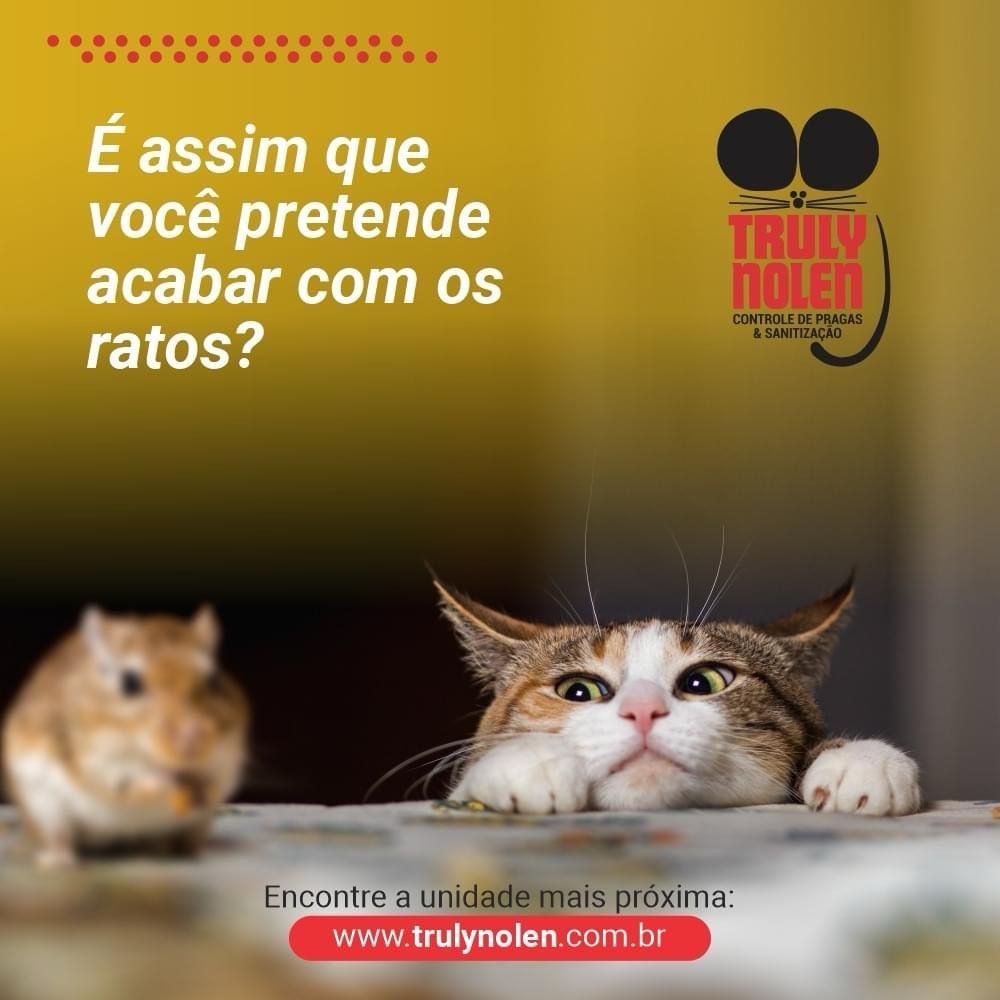 Dedetizadora em Manaus