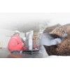 Fumigation Treatment