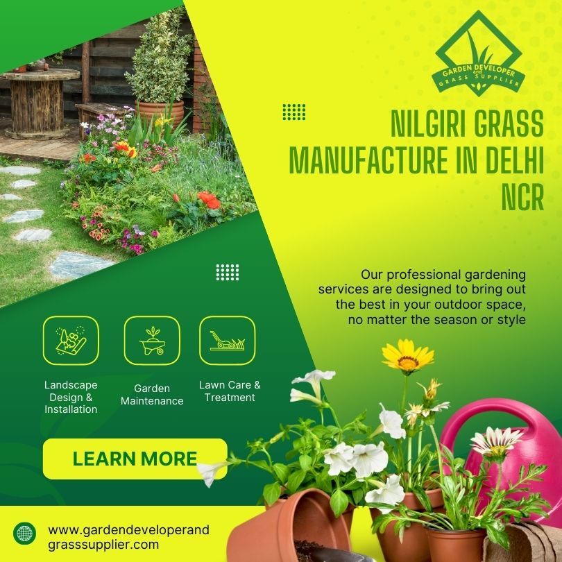 Nilgiri Grass Manufacturers in Delhi NCR – Premium Quality for Your Lawn