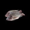 Pack of Tilapia – 2kg