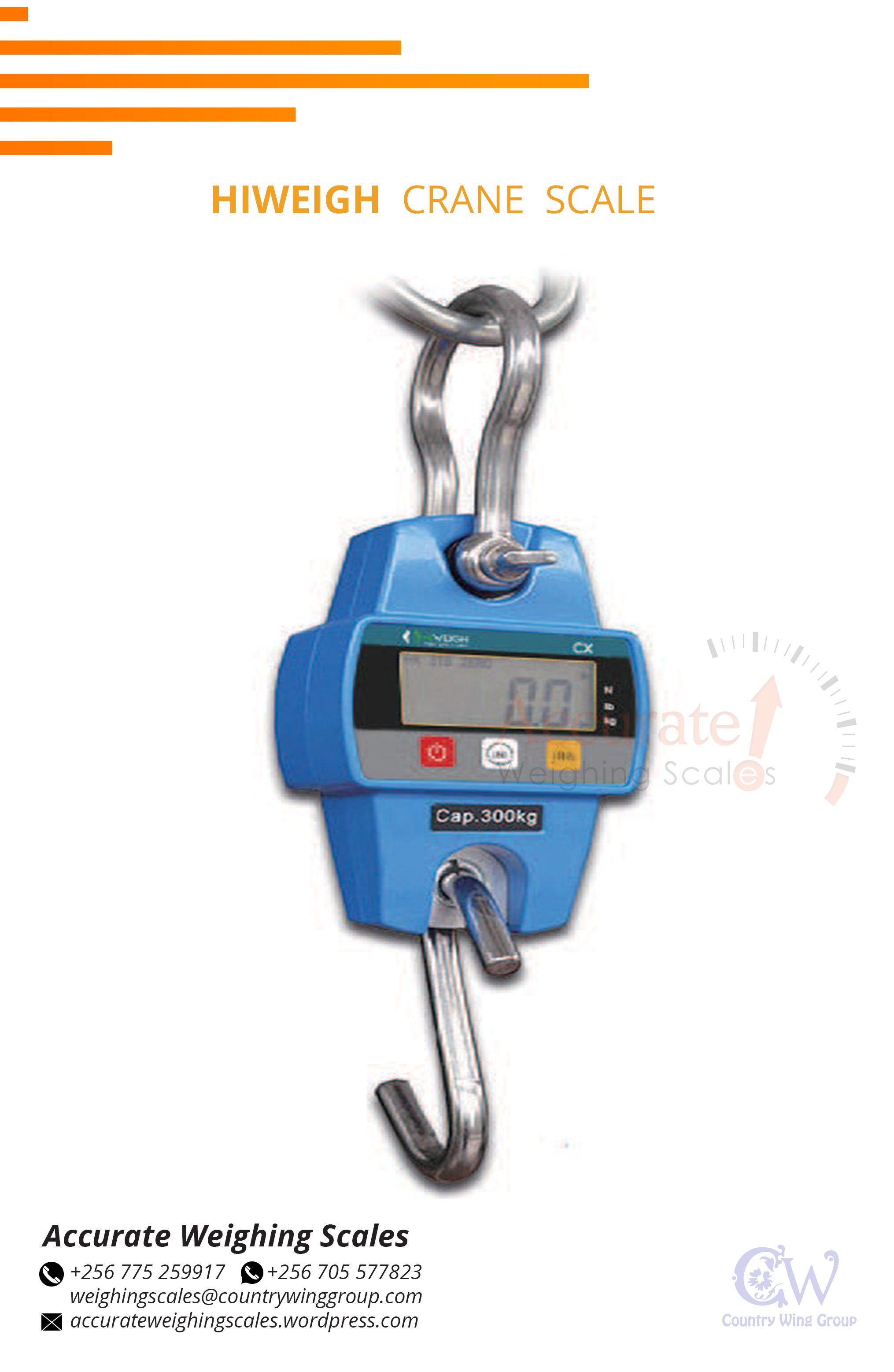 Digital Crane Weighing Scales in Kampala Uganda