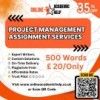 Project Management Assignment Help