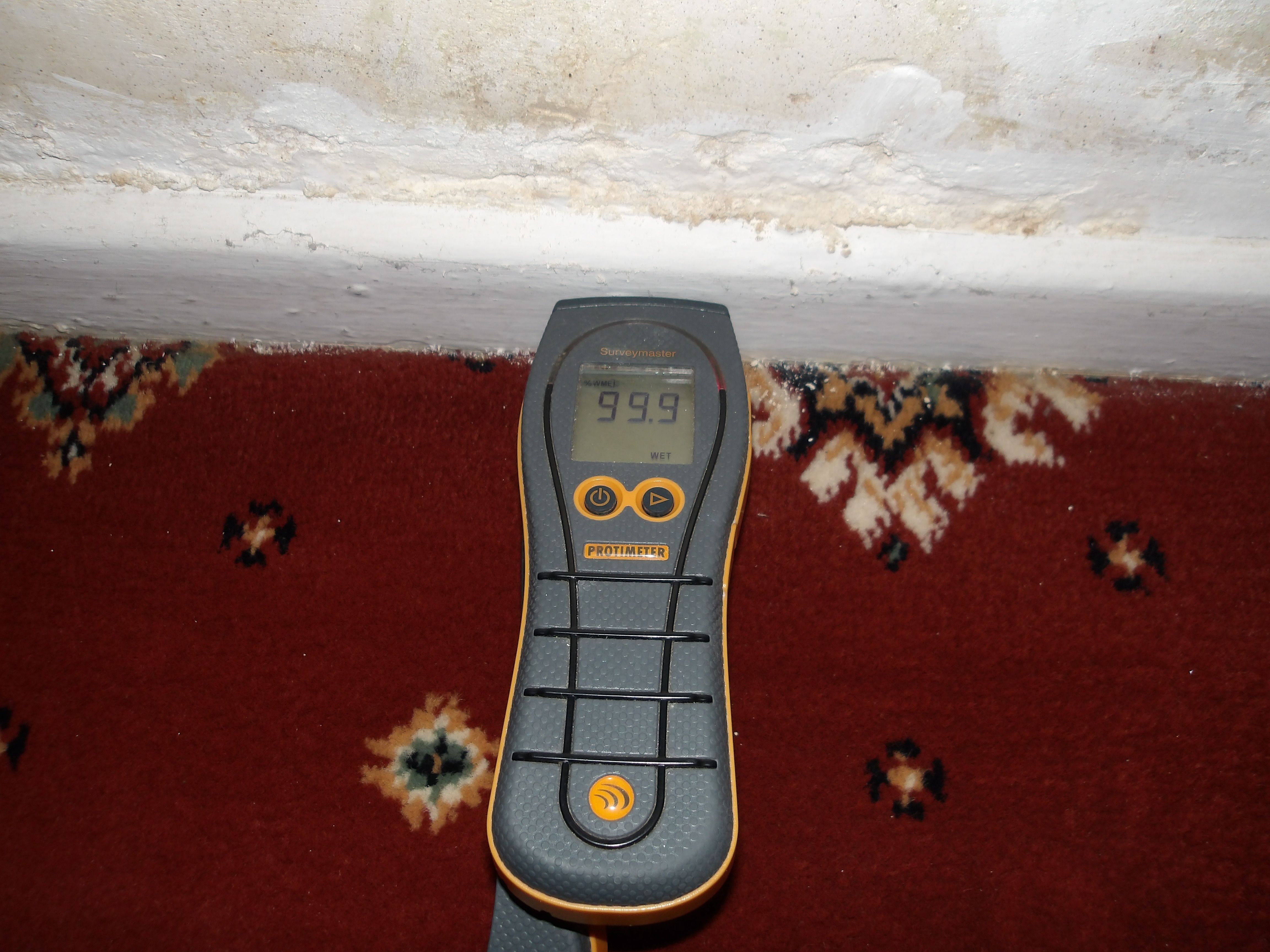 Wet and Dry Rot Treatment