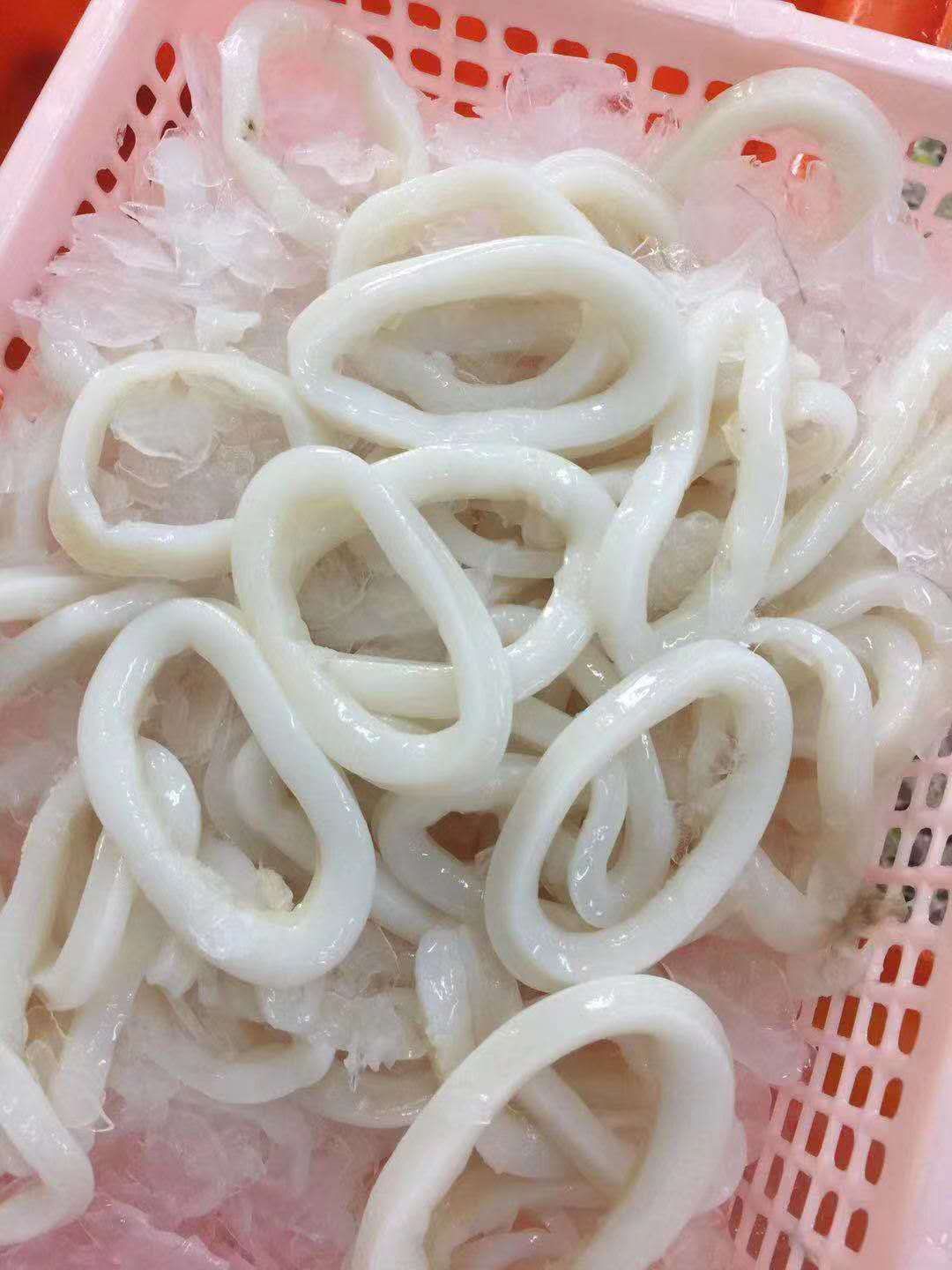 Giant squid tentacles,giant squid fillet,giant squid tubes and rings China exporter,supplier and factory 