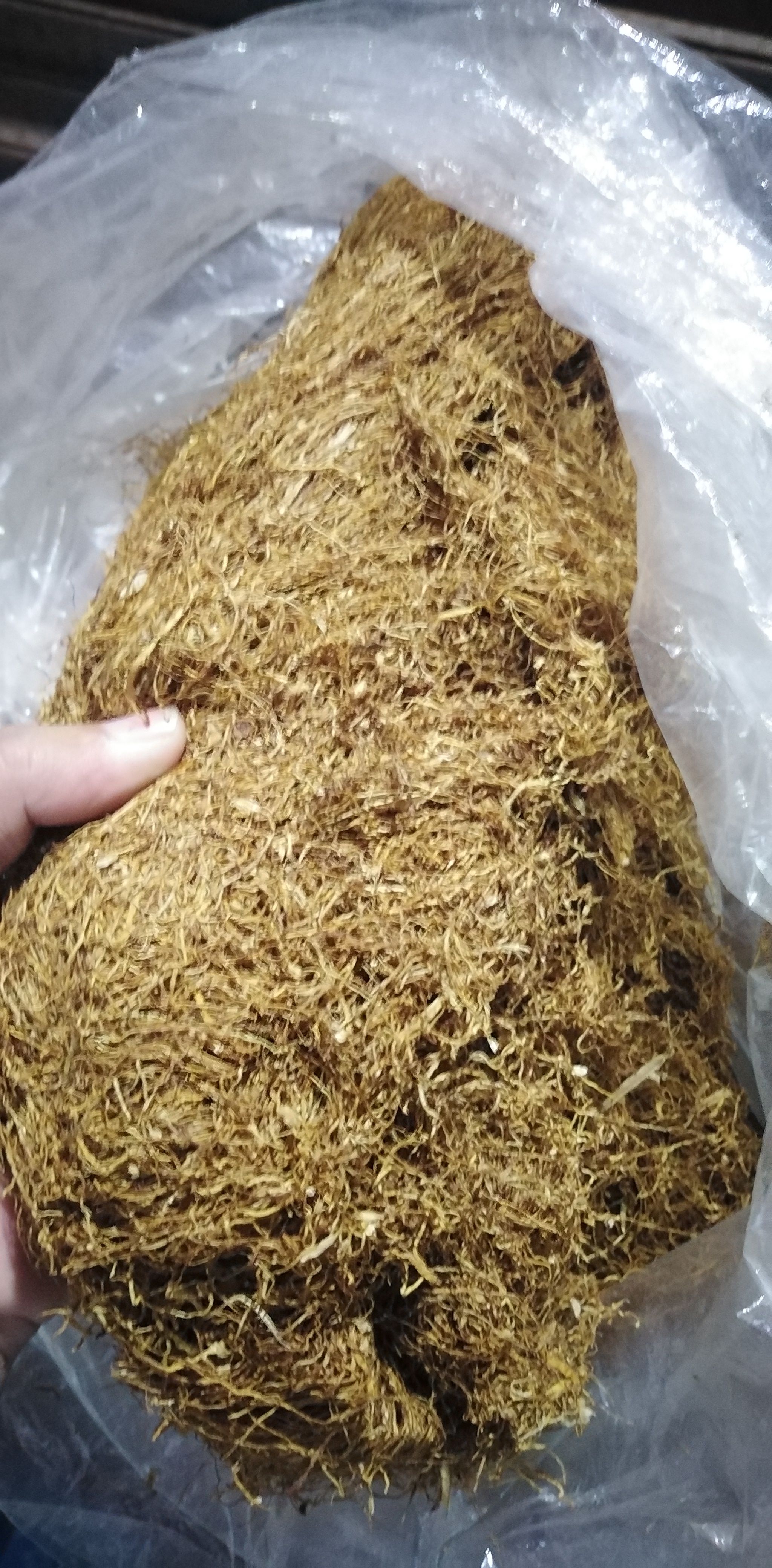 Jual tembakau kayumas situbondo